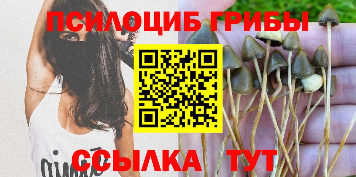 Галлюциногенные грибы GOLDEN TEACHER  Вход с VPN  как найти закладки  Псилоцибиновые грибы MAGIC MUSHROOMS  Астрахань 