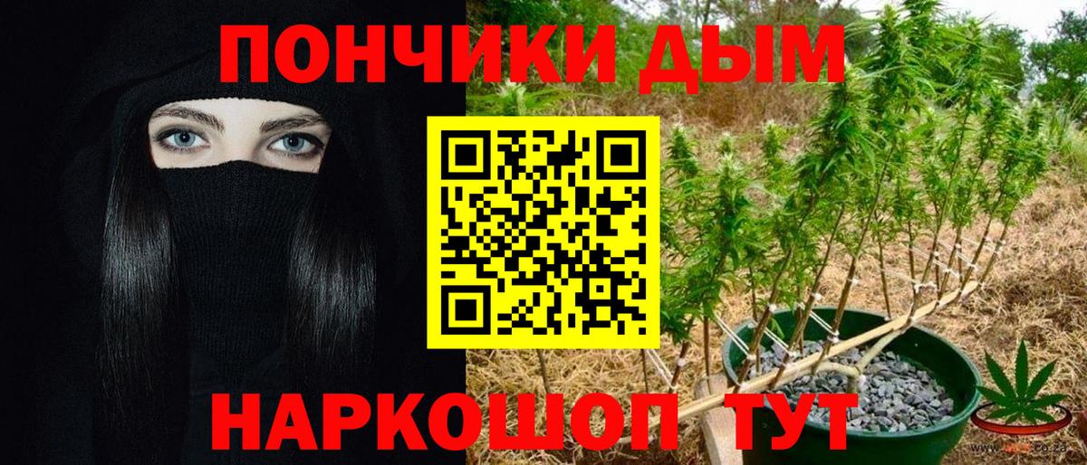 Каннабис гибрид Астрахань