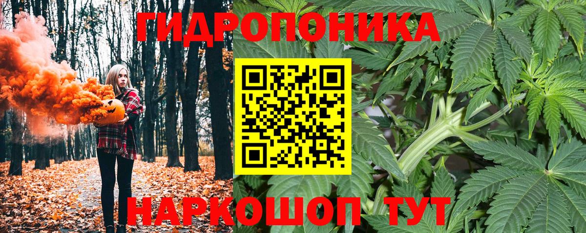 Бошки марихуана Ganja  Вход с VPN  Астрахань  МАРИХУАНА ГИДРОПОН  МАРИХУАНА OG Kush 